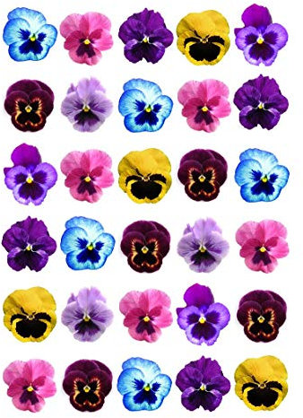 Ediblecakedecorations 30 x Pansy Flowers STAND UP Edible Paper Cupcake Toppers Cake Decorations