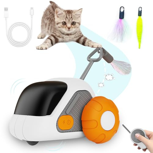 Interaktives Katzenspielzeug mit Fernbedienung, intelligentes elektrisches Katzenspielzeug mit LED-Leuchten, Typ C, wiederaufladbares Katzenspielzeug für Hauskatzen, Langeweile Beweg (orange Farbe)
