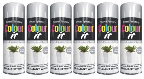 PEBBLE HUG White Gloss Spray Paint, Quick-Drying Formula, DIY Projects, Crafts, Home Décor, Ensuring Long-Lasting Protection, Interior And Exterior Use, 250ml, (6 Pcs)