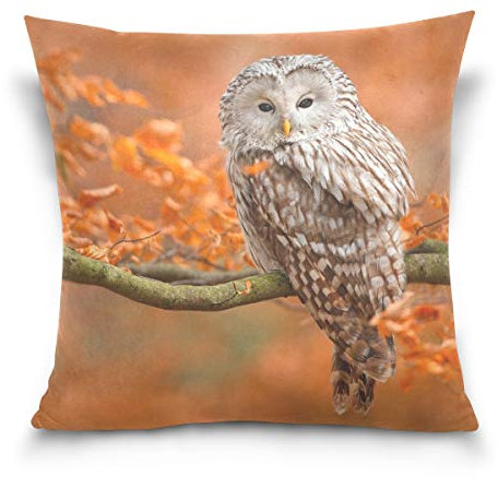 Linomo Kissenbezug 50x50 cm, Vogel Eule Herbst Dekorative Kissenbezug Kissenhülle für Couch Sofa Bett Hause