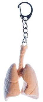 Miniblings Lunge Organ Schlüsselanhänger - Handmade Modeschmuck I Anhänger Schlüsselring Schlüsselband Keyring - Lunge Organ