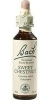 Original Bachblüten Tropfen Nr. 30 Sweet Chestnut: Freude und Hoffnung finden mit der Bach-Blüte Esskastanie, 20ml