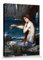 1art1 John William Waterhouse Poster Die Meerjungfrau, 1900 Bilder Leinwand-Bild Auf Keilrahmen | XXL-Wandbild Poster Kunstdruck Als Leinwandbild 40x30 cm
