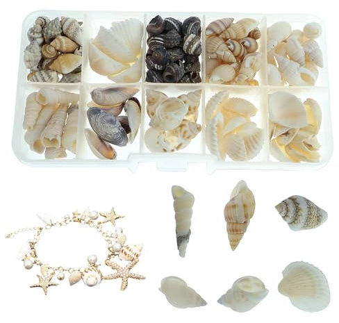 Rwoythk 185 Stück Muscheln, Muscheln zum Basteln, Natürliche Muscheln Deko mit Aufbewahrungsbox, Muscheln Gemischt Ungebohrt für Armbandschmuck, Vase Füllstoffe, Fisch Panzer, DIY Kunsthandwerk