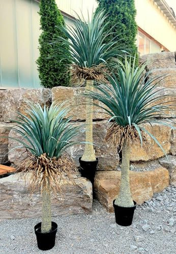 artplants.de Konstgjord palm Yucca rostrata Hardin, dekorativ kruka, 160 cm