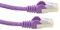 Short Purple 0.25M Ethernet Cable / CAT6 Network Lead/Pure Copper for Improved Performance/Screened FTP / RJ45 Plugs / 25cm (BY CABLES 4 ALL)