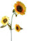 Hogar y Mas Girasol Artificial de 110 cm con Tres Flores Grandes, para Decoración Realista