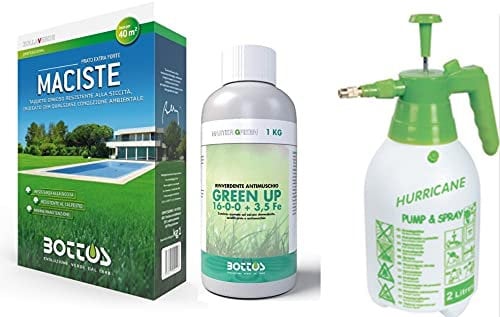 Maciste, Sementi per tappeto erboso ideale per zone aride 1Kg + Green Up Lt 1 Rinverdente Acidificante Antimuschio per Tappeti Erbosi Bottos con Pompa Spruzzatore a Pressione 2L