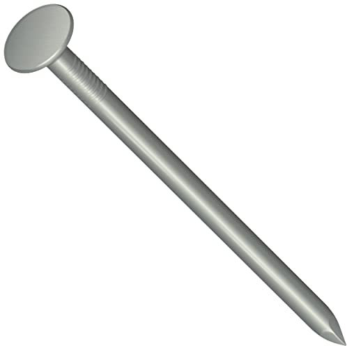 Clout Nails Filznägel, verzinkt, mit extra großem Kopf, 19 mm (ca. 105 Stück) (100 g), Nagelschuppen, Dachziegel, Garten, Dachziegel für Holzschuppen, Sommerhäuser, Outdoor