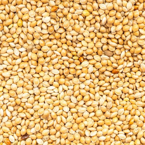 Hirse gelb weiß Vogelfutter Wellensittichfutter Großsittich Kanarienfutter Hirse für Hühner, Fische, Wildtiere, Viehbestand Hirse Gelb 2 kg