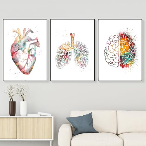 WZXGHE Anatomie Medizin Poster,anatomie Herz Poster Mit Blumen,bilder Herz Lunge Gehirn Arztpraxis Dekoration,Für Krankenhaus Klinik Deko Rahmenlos (D, 3x50x70cm, Ungerahmt)