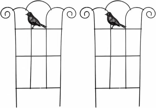 2 Pcs Plant Trellis for Climbing Plants Outdoor, Black Coated Fan Pot Trellis Garden Metal Support Stake for Indoor Outdoor Vines Flower Vegetable (E)