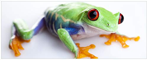 Wallario Glasbild Lustiger Frosch in grün und orange - 50 x 125 cm Wandbilder Glas in Premium-Qualität: Brillante Farben, freischwebende Optik