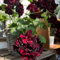 piante di geranio pendenti - semi piante di fiori da balcone erbe aromatiche giardino semi esotici di balcone giardino resistenti piante 50pcs