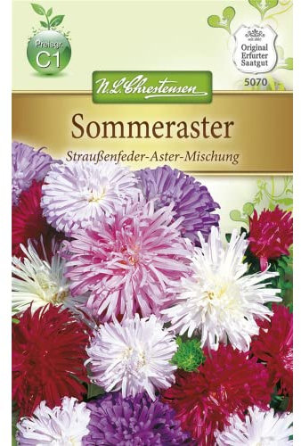 Chrestensen Sommeraster 'Straußenfeder-Aster-Mischung'