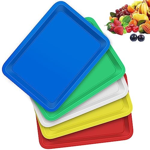 JNWYH 10 vassoi rettangolari, infrangibili, per cucina, sala da pranzo, scuola, caffè, panetteria, feste (24,5 x 18,3 x 2,3 cm)