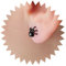 Inateannal Punk Spinne Ohrstecker Schwarze Spinne Ohrringe Schwarzer Onyx Kleine Spinne Ohrringe Gothic Horror Spinne Tier Ohrringe Schmuck Für Frauen Und Mädchen
