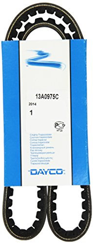 DAYCO 13A0975C Gürtel