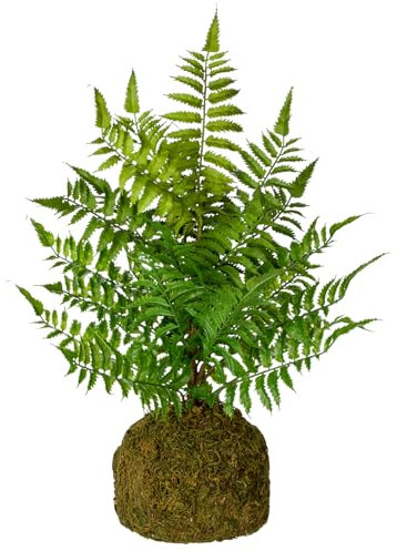 Briful Plantas artificiales de helecho Boston de 47 cm de alto con bala de plantas de musgo, plantas artificiales decorativas para decoración del hogar, cocina y habitación