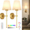 trivkyand Rechargeable Wall Lights Set of 2，Battery Operated Wall Lights Indoor with 5000mah Detachable Charging Bulbs and Remote ，9 Colours Wireless Sconces for Bedroom Living Room Hallway
