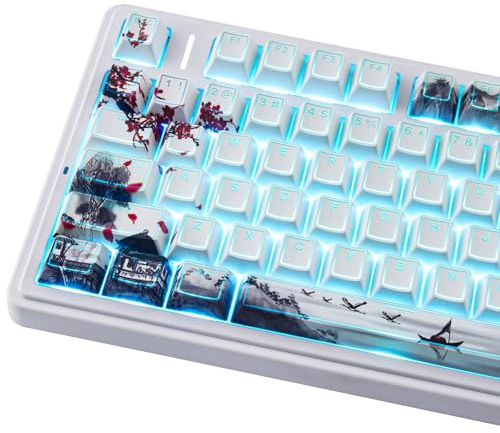 Hyekit PBT-Tastenkappen – Shine Through Keycaps, Dye Sub & Double Shot, 142 Tasten, Cherry Profile Backlit Tastenkappen für 60, 65, 75, 100 Prozent mechanische magnetische Tastatur (Pflaumenblüte)