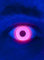 Maskworld - UV aktive Kontaktlinsen/Jahreslinsen - Rot - Motivlinsen ohne Sehstärke - Unisex - Erwachsene - ideal für Halloween, Karneval, Motto- und Horror-Party