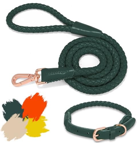 Hundehalsband und Leine, weiches Leder, stilvoll, robust, geflochten, wasserdicht, robuste rotgoldene Schnalle, 122 cm, für große, mittelgroße und kleine Hunde, Grün, Größe L