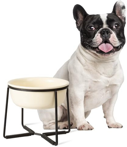 Elevated Ceramic Dog Food Bowl - Raised Dog Bowl with Non-Slip Metal Stand - Lifted Dog Dish - Dog Feeding Bowl - Dog Water Bowl - Suitable for Small and Medium Dogs - 2 Cups - 27 fl oz - Beige