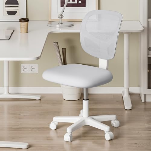 Hadwin Height Adjustable Office Chair, Grey | Swivel Computer Chair, Ergonomic Mid-Back, Armless Mesh Desk Chair, Padded Seat Cushion, Home Office