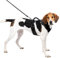 PetSafe EasySport Geschirr, Elastischer Halsausschnitt, Gepolsterter Griff, Für Hunde von 29,5 bis 36 kg, Größe L, Schwarz