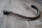 Generisch Stirnriemen mit Schnellverschluss und 10mm Steinen Pferd Horse Browband (Warmblut = 43 cm, weinrot)
