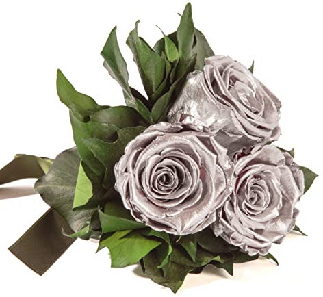 ROSEMARIE SCHULZ Heidelberg Infinity Blumenstrauß echte konservierte Rosen Lange haltbar bis zu 3 Jahre (3 Rosen, Silber)