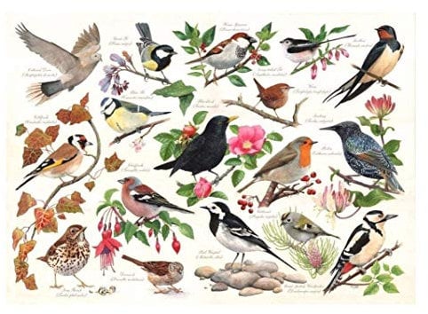 JYSHC Puzzle 1000 Stück Vögel In Meinem Garten Lernspielzeug Für Erwachsene Und Kinder Kd9Hz