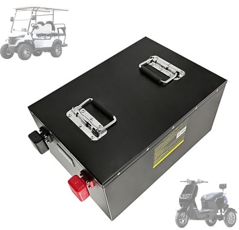 WILLQ Batterie Lithium 24V 200Ah 100Ah Batterie LiFePO4 24V 5120Wh 2560Wh pour Camping-Car/système d'alimentation Solaire Secours/Stockage d'énergie Domestique/Application Hors réseau,24v200ah