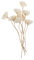 PRETYZOOM 16 STK Tong-Gras- Parfümeur Weihrauch Blumen-diffusor-Sticks Nebel Wein-diffusor-Sticks Öldiffusorrohre Parfüm Diffusor Blumen-aromatherapie-Sticks Duftblume Rein Rattan Weiß