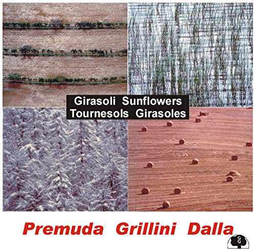 Dischi Della Quercia