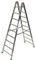 Scala Facal professional P1-9 2,40 mt.
