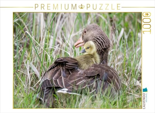 CALVENDO Puzzle EIN Motiv aus dem Kalender Emotionale Momente: Die Graugans. | 1000 Teile Lege-Größe 64 x 48 cm Foto-Puzzle für glückliche Stunden