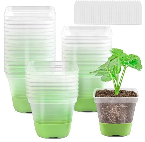 GOONMILL Lot de 36 Pots de Fleurs carrés en Plastique Transparent de 10,2 cm avec Base en Silicone Souple pour Une Transplantation Facile, Pots de Fleurs avec Trous de Drainage, Pots de semis