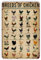 Metall-Blechschild mit Hühnerrassen, lustiges Poster, Bauernhof, Hühnerstall, Ranch, Restaurant, Küche, Wohnzimmer, Badezimmer, Zuhause, Kunst, Wanddekoration, Geschenk