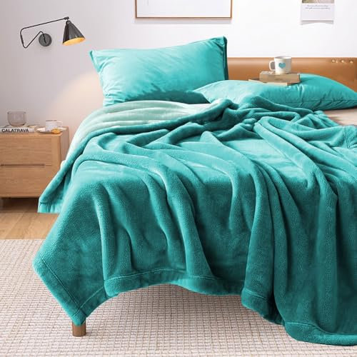 YISURE Flauschige Decke Wasserdicht 230x203cm für Sofa Bett Intimität, Reversible Lovers Squirt Decke für Erwachsene, Leakproof Protector Cover für Couch Bett Matratze/Möbel (Aqua/Türkis)