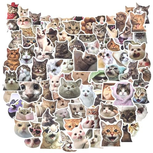 100Stks Handyhülle Lustige Katzen Aufkleber, Koffer Katzen Meme Aufkleber, Wasserfeste Kätzchen Aufkleber, Wasserflasche Niedliche Laptops Katzen Aufkleber für Kinder Teenager Skateboards