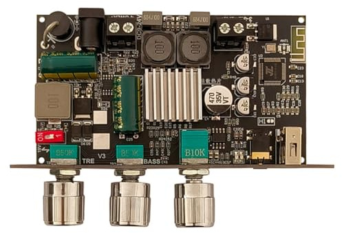 Gosera Scheda Amplificatore Audio Bluetooth TPA3116D2 100W Mono con Regolazione Boost Hi- Fai-da-Te