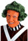 Fun Shack Grüne Schokoladenfabrik Arbeiter Perücke Herren, Faschingskostüm Erwachsene Karneval und Halloween Größe Einheitsgröße