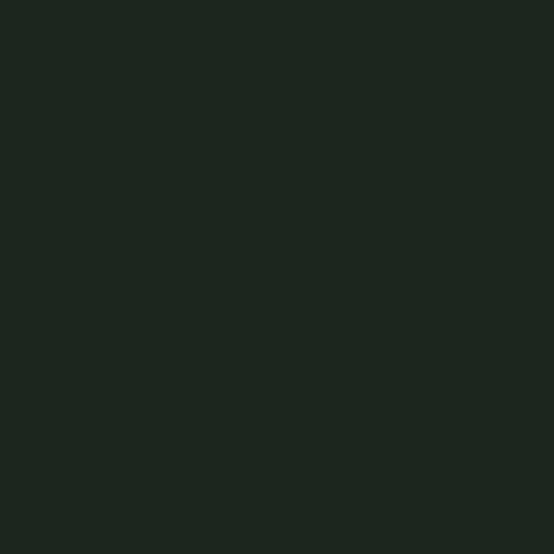 100 x Sheets 20 x 30Acid Free Coloured Tissue Paper- Black