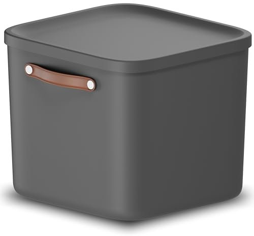 Rotho Maloja Aufbewahrungsbox 40 l, Kunststoff, anthrazit, 40 (39.5 x 38.0 x 34.0 cm)
