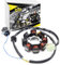 Area1 Ersatz Lichtmaschine Stator kompatibel mit Retro Star, Explorer Retro Star, Jackfox Retro Star, kompatibel mit Retro Star 50ccm