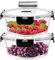 LNWSN Almacenamiento de Cocina y Despensa - [ 2 Unida-des] Recipientes de Cristal con Tapas – Almacenaje de Cocina – No Go-tea y sin BPA (2 Recipientes y 2 Tapas)