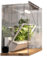 weegreens weefarm Premium Growbox Komplettset - Growzelt 24x55x15cm, Indoor Gewächshaus für Hydrokulturen, Anbau Set, Die All-in-One-Lösung fürs Home Growing