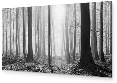 murando - Wandbilder XXL Wald 135x45 cm 1 tlg - Wand Deko Vlies Leinwand Bilder Groß Wanddeko Wohnzimmer Schlafzimmer Kunstdrucke Panoramabild - Waldlandschaft Natur Panorama Baum schwarz-weiß